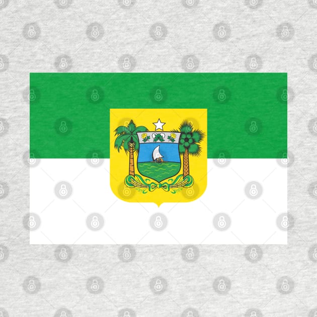 Flag of Rio Grande do Norte by brigadeiro